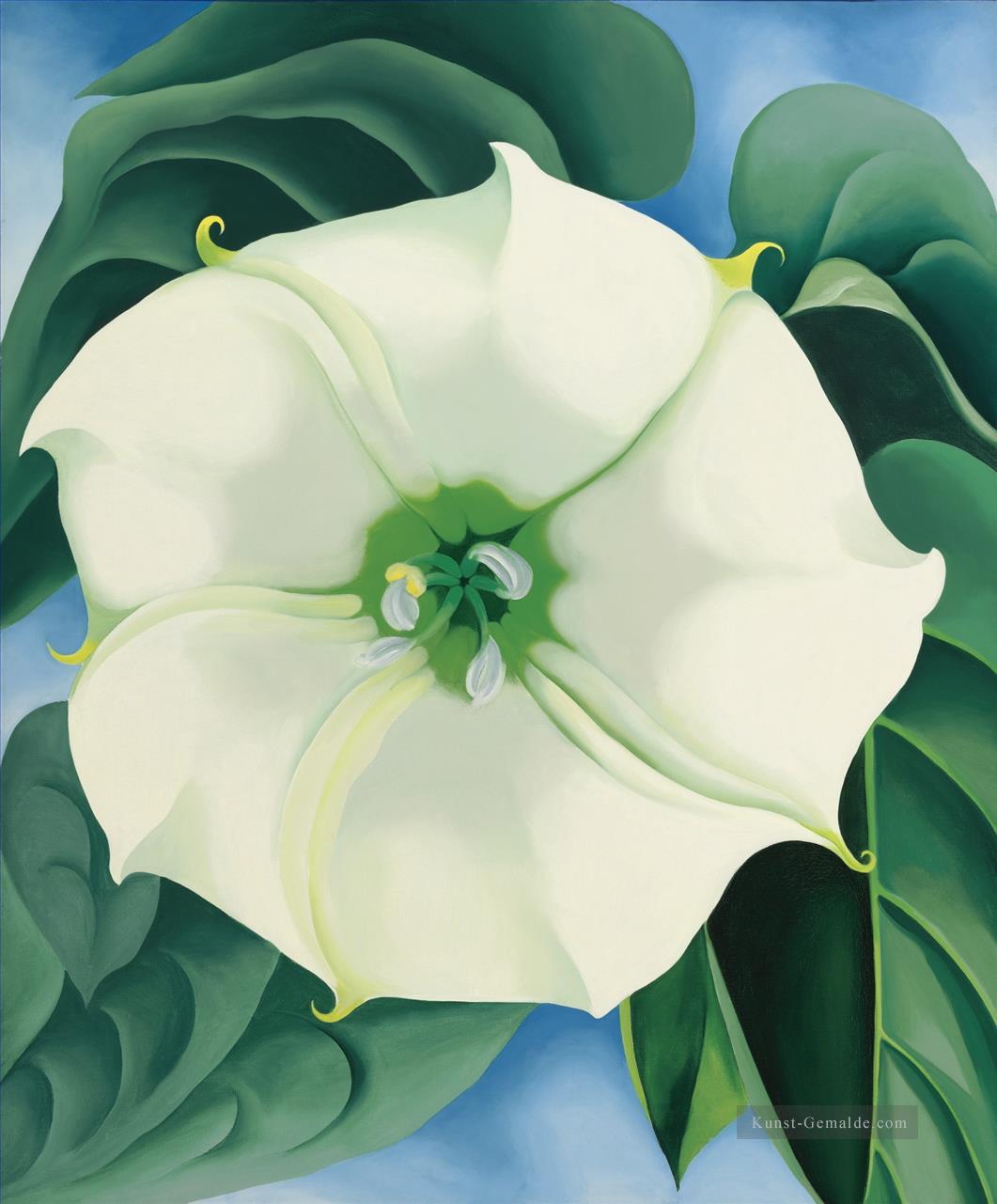 JIMSON WEED WHITE FLOWER NO 1 Georgia Okeeffe American modernism Precisionism Ölgemälde